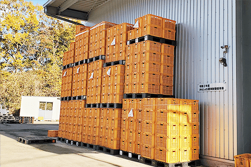 さつまいも保管庫